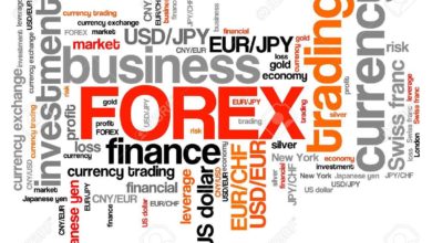 Términos clave del mercado de divisas que debe conocer glosario forex Glosario Forex &#8211; Términos clave que debes conocer | Estafas Forex terminos clave 390x220